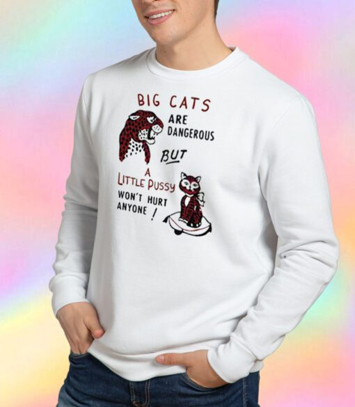 Big Cats Are Dangerous, But a Little Pussy Won't Hurt Anyone Sweatshirt